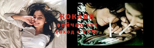 мяу мяу мука Заволжск