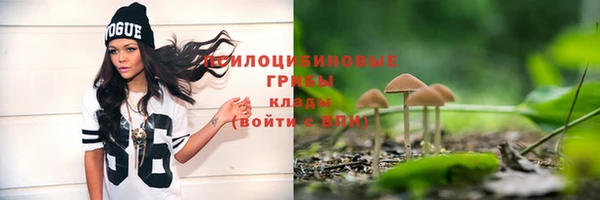 мяу мяу мука Заволжск