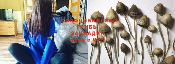мяу мяу мука Заволжск