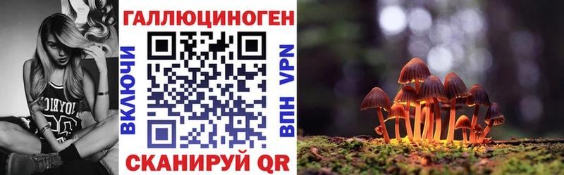 Псилоцибиновые грибы Psilocybe  Купить  Лакинск 